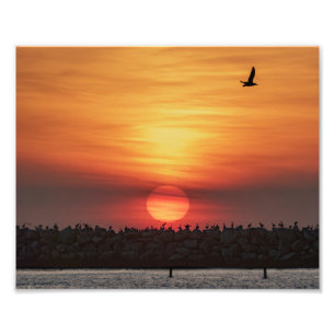 Beautiful Sunset Colors - Marina Del Rey, CA Photo Print