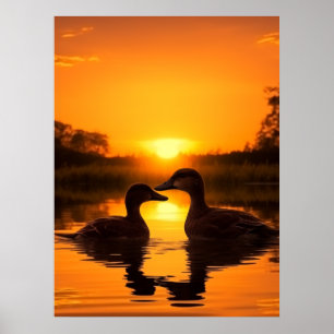 Beautiful Sunset Duck Poster