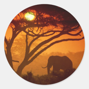 Beautiful Sunset Elephant Classic Round Sticker