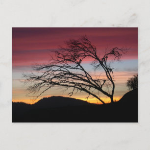 Beautiful sunset postcard
