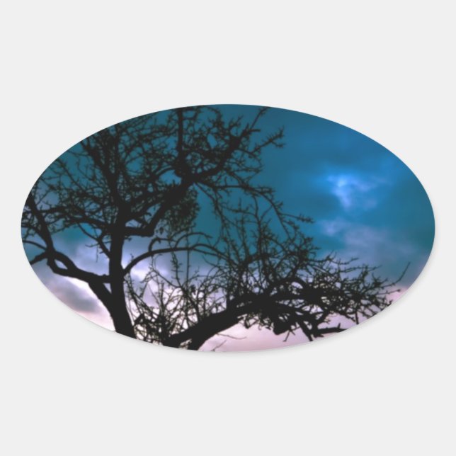 Beautiful Sunset Scenic Landscape Photographic Art Oval Sticker (Front)