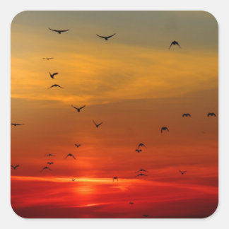 Beautiful Sunset Scenic Landscape Photographic Art Square Sticker