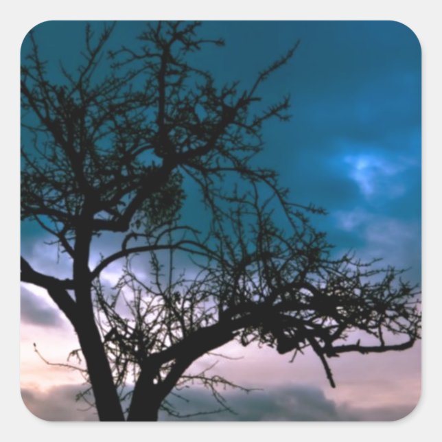 Beautiful Sunset Scenic Landscape Photographic Art Square Sticker (Front)