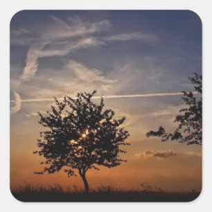 Beautiful Sunset Scenic Landscape Photographic Art Square Sticker