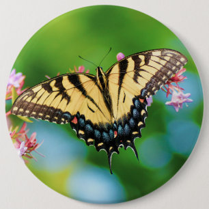 Beautiful Swallowtail butterfly on pretty flowers 6 Cm Round Badge