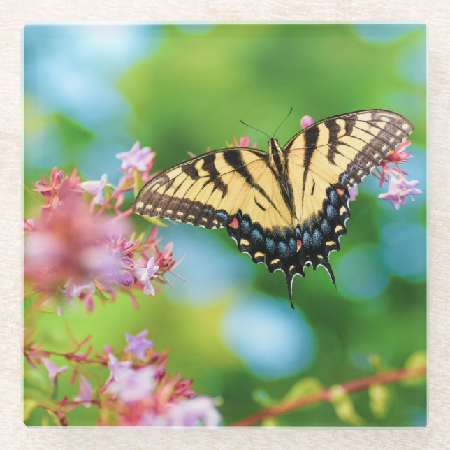 Beautiful Swallowtail butterfly on pretty flowers Glass Coaster (Front)