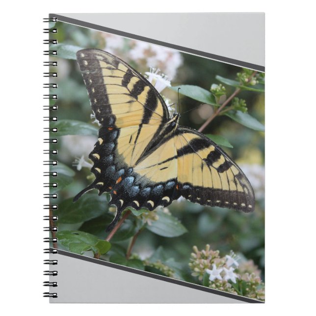 beautiful swallowtail butterfly photo -  notebook (Front)