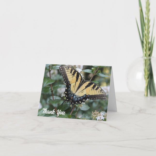 Beautiful swallowtail butterfly photo - thank you card (Front)