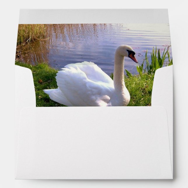 Beautiful Swan Birds Animals  Envelope (Back (Bottom))