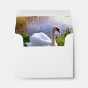 Beautiful Swan Birds Animals Envelopes
