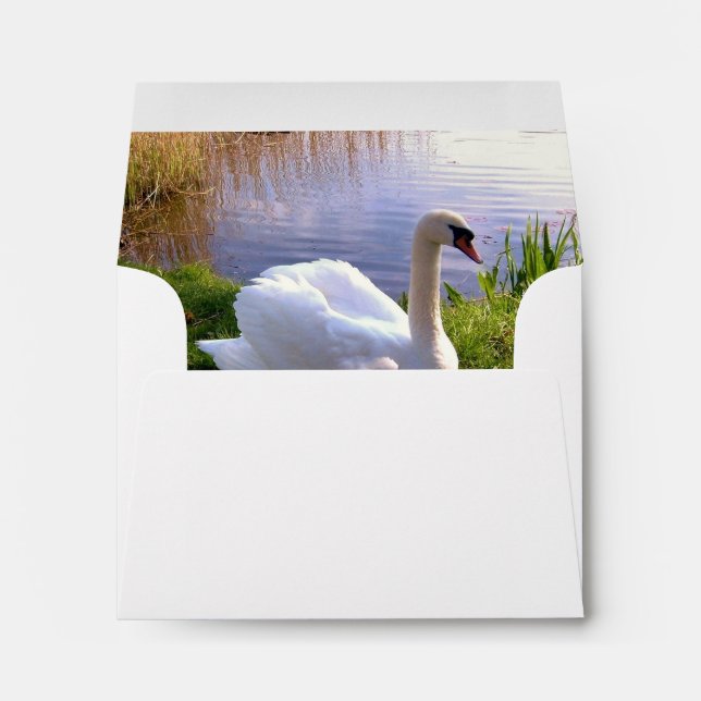 Beautiful Swan Birds Animals  Envelopes (Back (Bottom))