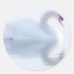 Beautiful Swan Stickers
