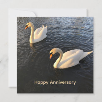 Beautiful swans Anniversary Holiday Card