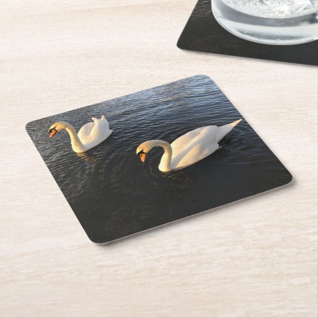 Beautiful swans square paper coaster (Angled)