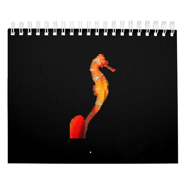 Beautiful Swimming Seahorse Figure On Front Calendar (Cover)