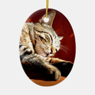 Beautiful tabby cat ceramic tree decoration