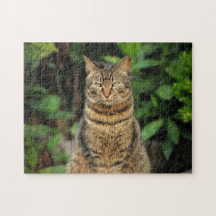 Beautiful Tabby Cat Jigsaw Puzzle