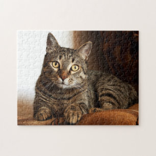 Beautiful Tabby Cat Jigsaw Puzzle
