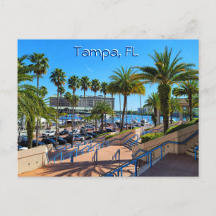 Beautiful Tampa, Florida Postcard