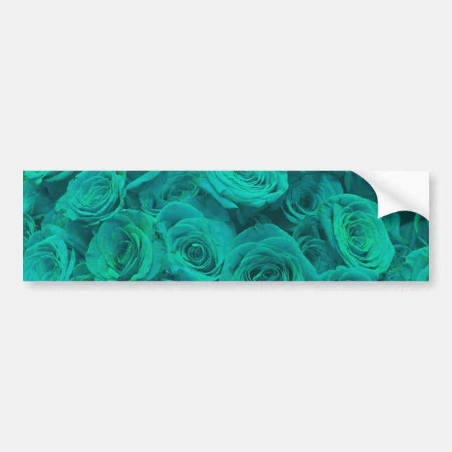 Beautiful teal green roses, teal flowers  bumper sticker (Front)