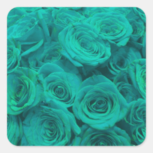 Beautiful teal green roses teal flowers  square sticker