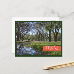 Beautiful Texas Park Postcard