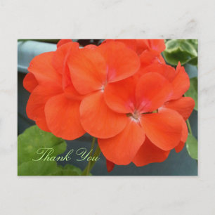 Beautiful Thank You Post-Card Postcard