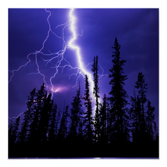 beautiful thunder over the forest poster (Front)