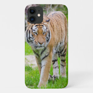 Beautiful Tiger iPhone 11 Case