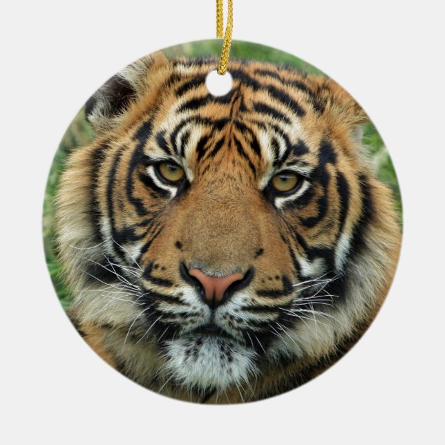 Beautiful Tiger Ceramic Tree Decoration (Front)