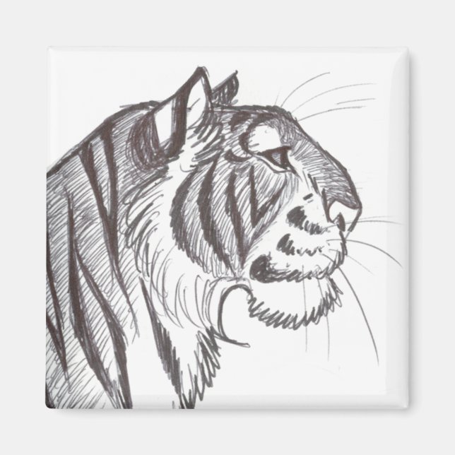 Beautiful Tiger drawing magnet (Front)