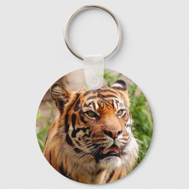 Beautiful tiger face key ring (Front)