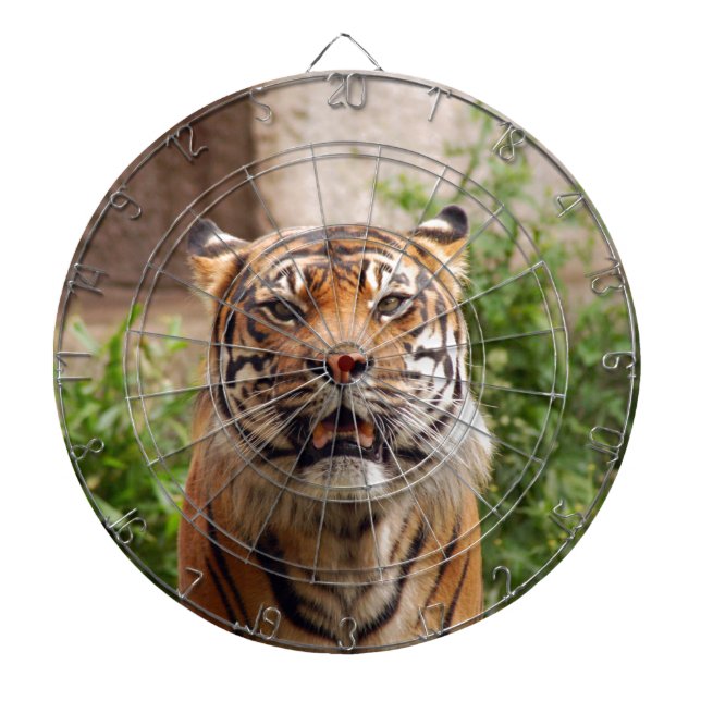 Beautiful tiger face print dartboard (Front)