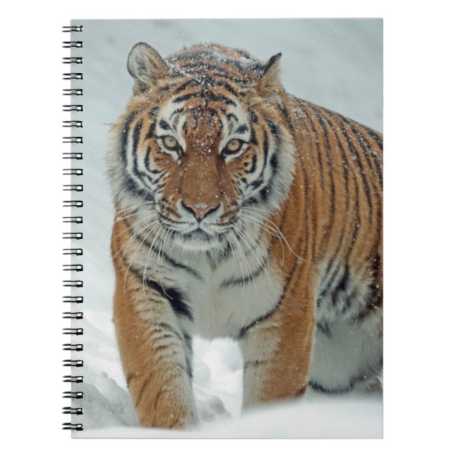 Beautiful Tiger in Snow Notebook (Front)