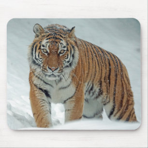 Beautiful Tiger in the Snow Mouse Mat