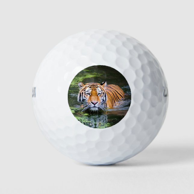 Beautiful Tiger in the water Golf Balls (Front)