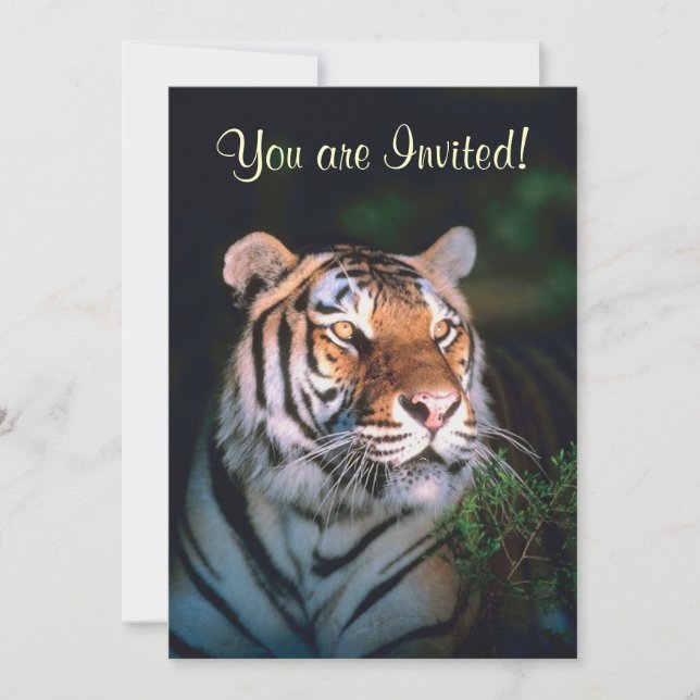 Beautiful Tiger Invitations (Front)