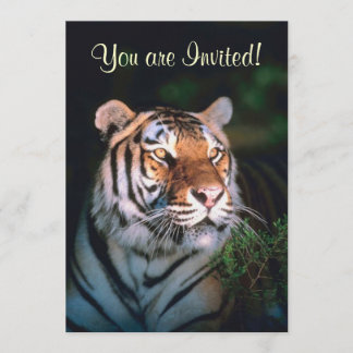 Beautiful Tiger Invitations