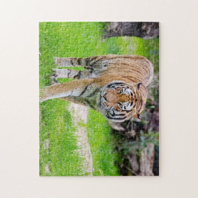Beautiful Tiger Jigsaw Puzzle (Vertical)