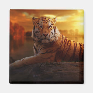 Beautiful Tiger Magnet