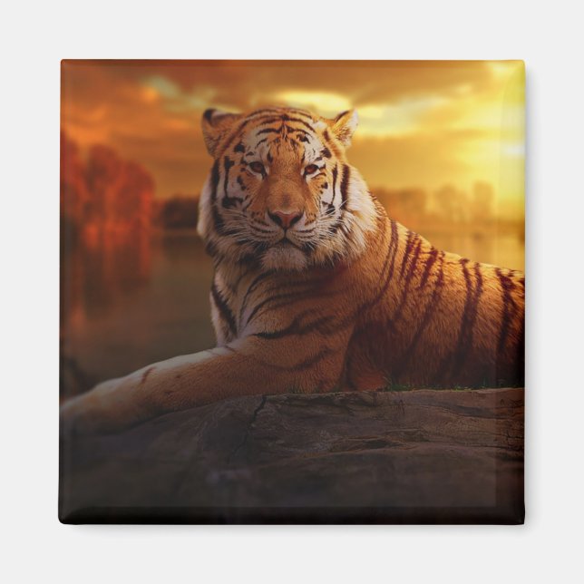 Beautiful Tiger  Magnet (Front)