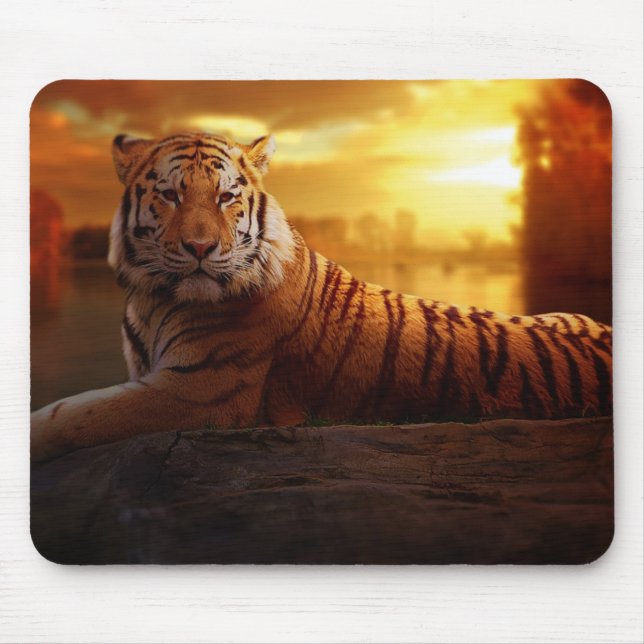 Beautiful Tiger  Mouse Mat (Front)