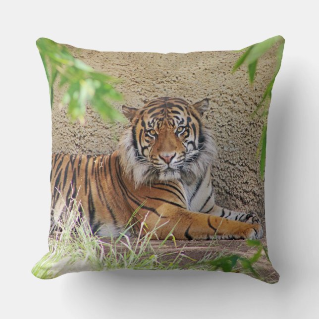 Beautiful Tiger Pillow! Cushion (Front)