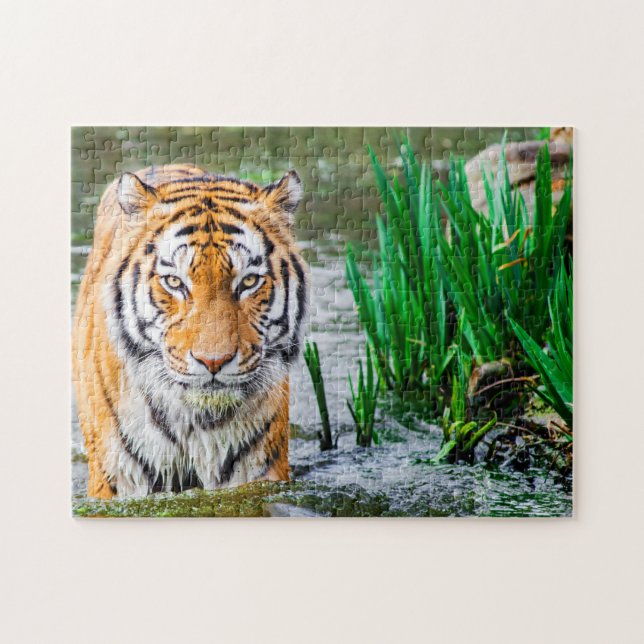 beautiful Tiger Puzzle (Horizontal)