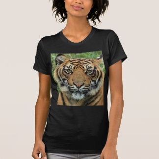 Beautiful Tiger T-Shirt