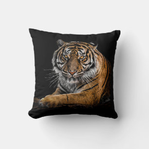 Beautiful Tiger with Black Background Cushion