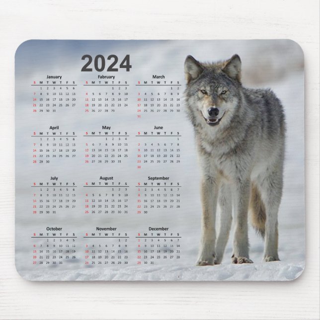 Beautiful Timber Wolf 2024 Calendar Mouse Mat (Front)