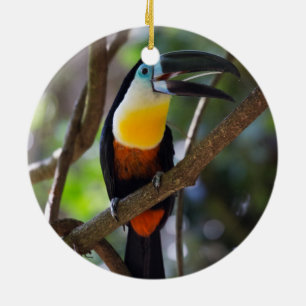 Beautiful toucan bird in a tree nature scenery ceramic tree decoration