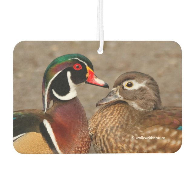 Beautiful Touching Moment Between Wood Ducks Car Air Freshener (Front)