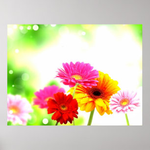 Beautiful tranquil blissful lovely floral scenery poster